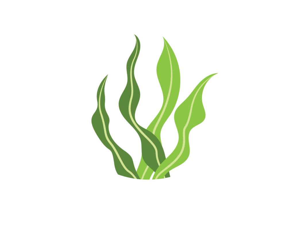 Nam Kwang Food Việt Nam